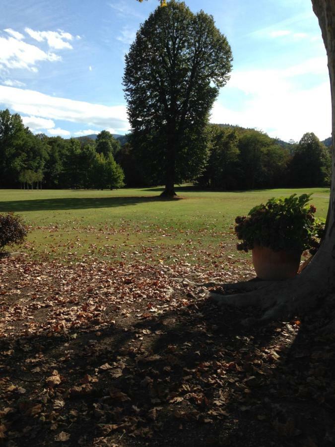 Chateau Du Val Larbont Acomodação com café da manhã La Bastide-de-Sérou Exterior foto