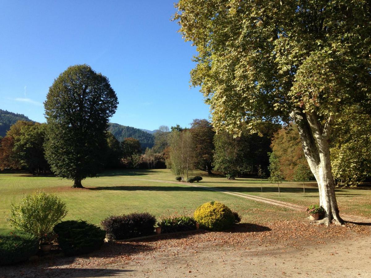 Chateau Du Val Larbont Acomodação com café da manhã La Bastide-de-Sérou Exterior foto